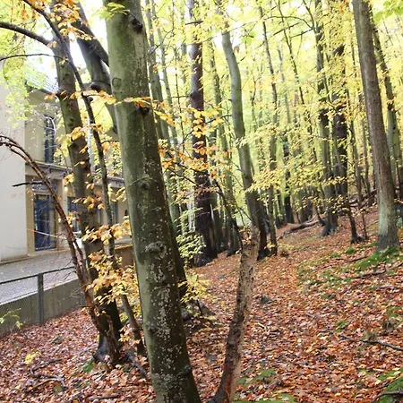 Kwatera prywatna Leśny Sopot