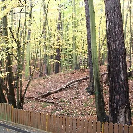 Leśny