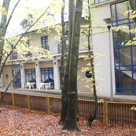 Leśny *