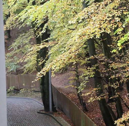 Privat bolig Lesny Sopot