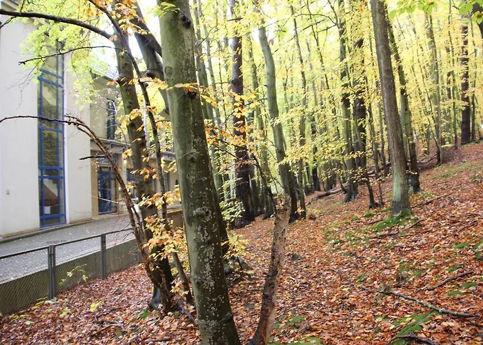 Privat bolig Lesny Sopot