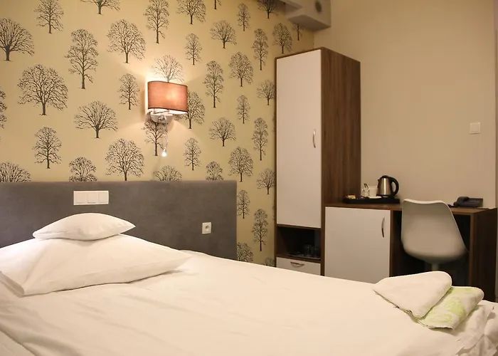 民宿 Lesny 索波特